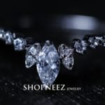 shopneez jewelry