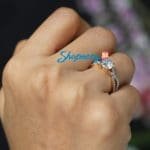 SJ8293 (5)