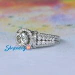 SJ8295 (2)