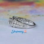 SJ8295 (3)
