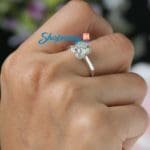 SJ8296 (5)